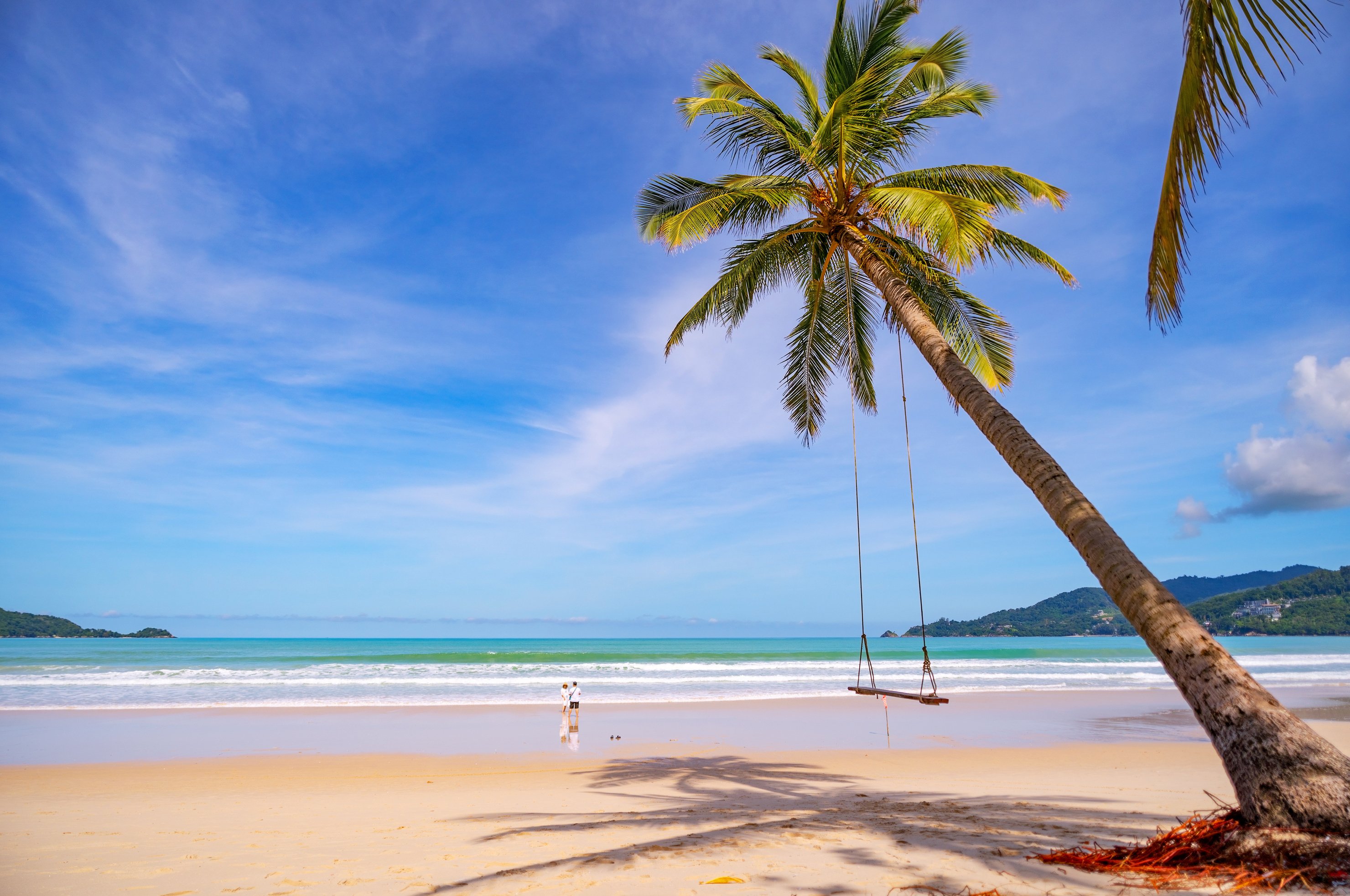 Tropical Beach with Palms Trees